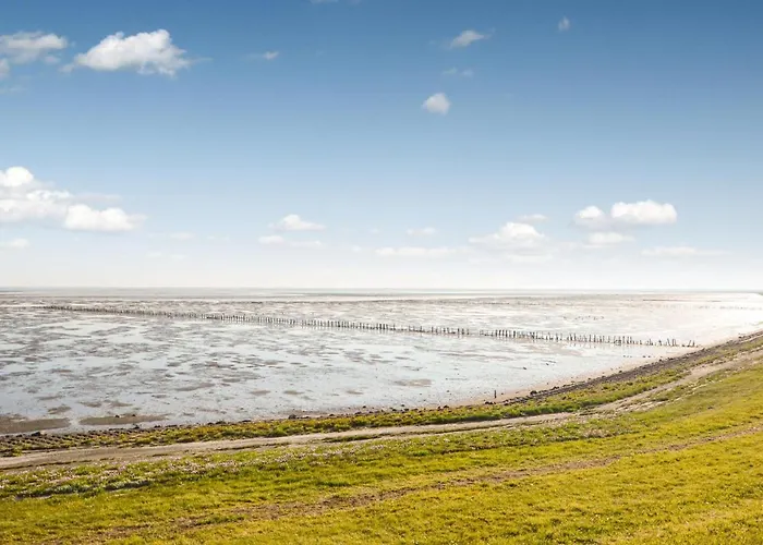 In With Wifi Nyaraló